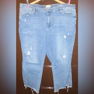 Nicole Miller New York Soho High Rise Straight Crop Jeans | Size 20